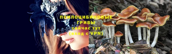 эйфоретик Медногорск