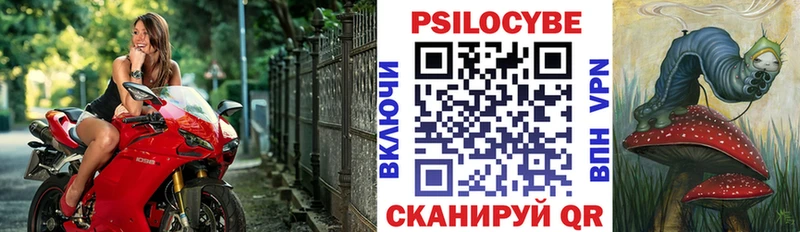 Галлюциногенные грибы MAGIC MUSHROOMS  купить закладку  Каргат 