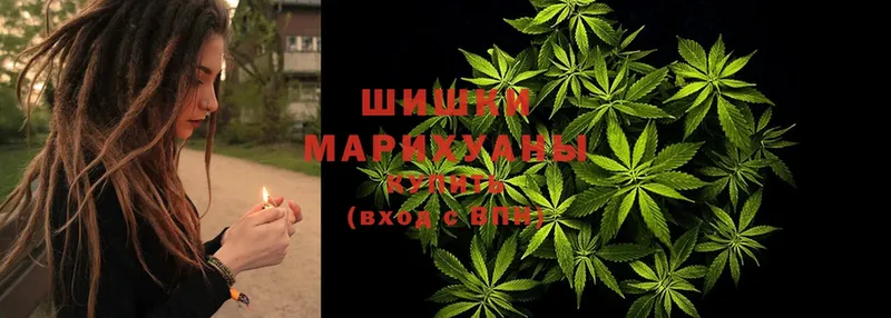 даркнет сайт  нарко площадка формула  Шишки марихуана Ganja  Каргат 